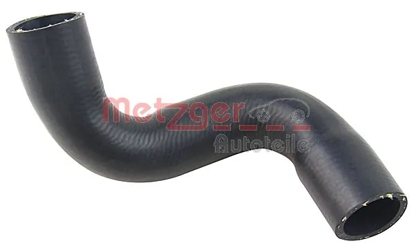 Radiator Hose 2420646
