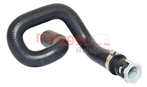 Radiator Hose 2420078