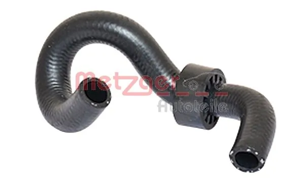 Radiator Hose 2420090