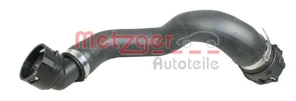 Radiator Hose 2422325