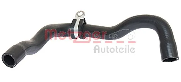 Radiator Hose 2420053