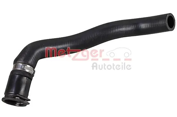 Radiator Hose 2421225