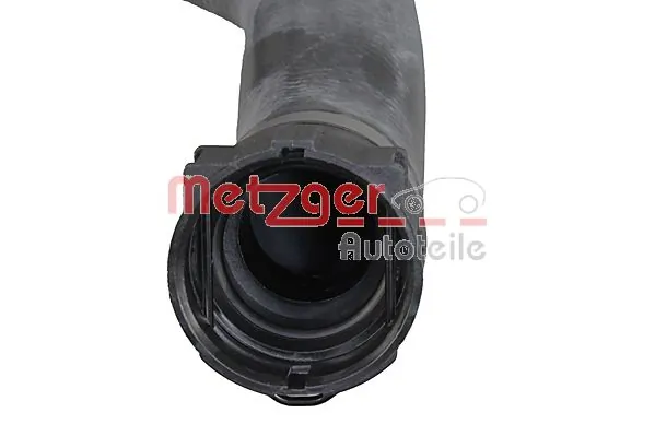 Radiator Hose 2421342