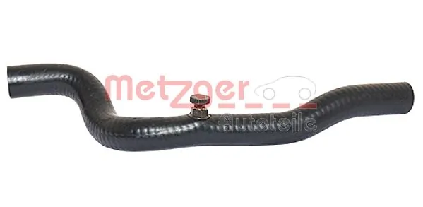 Radiator Hose 2420371