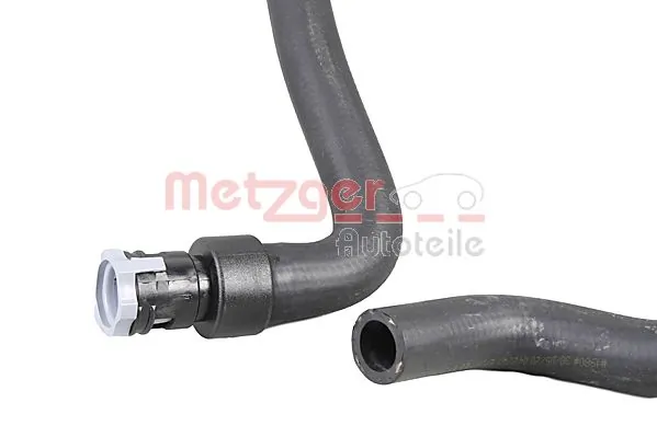 Radiator Hose 2420902