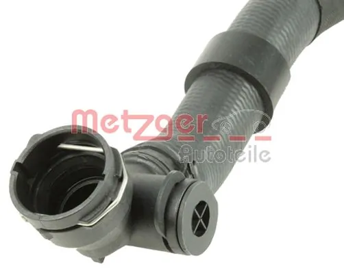 Radiator Hose 2420761