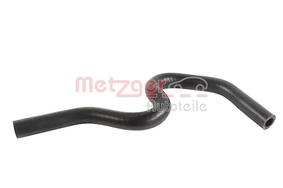 Radiator Hose 2421818