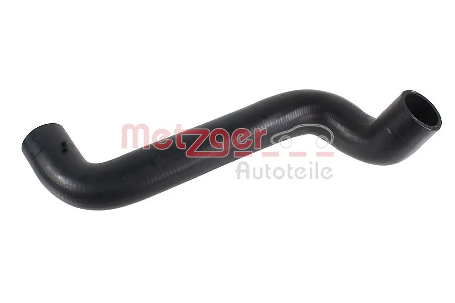Radiator Hose 2421814