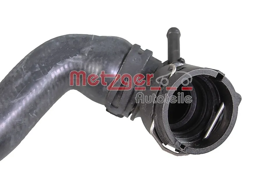 Radiator Hose 2420750