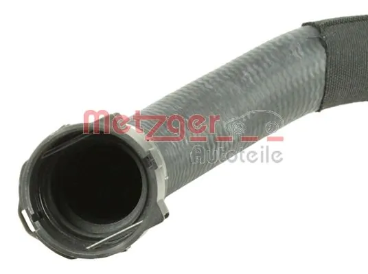 Radiator Hose 2420761
