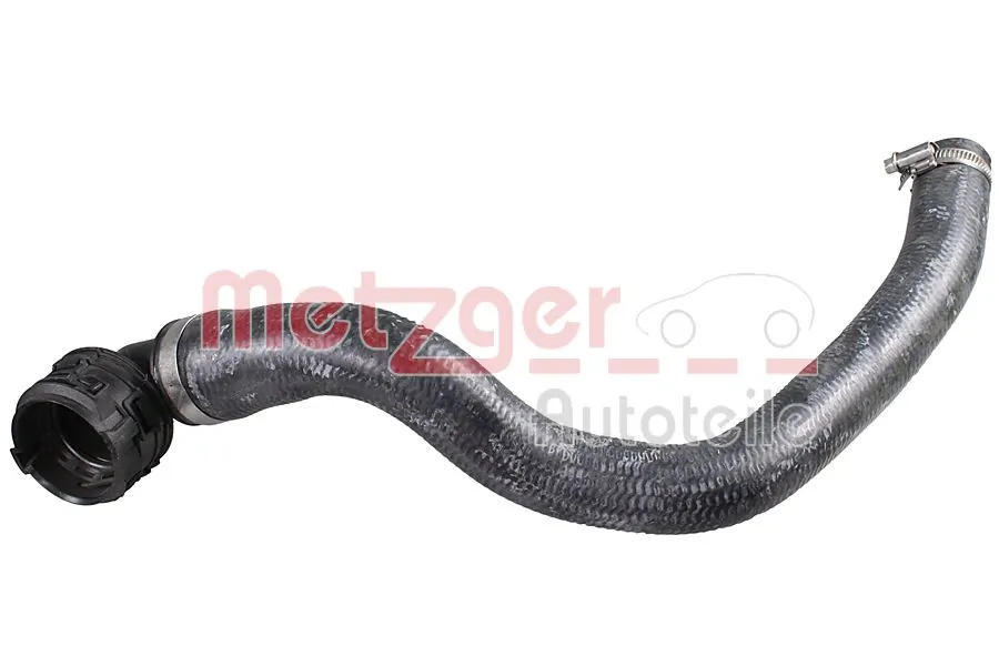 Radiator Hose 2421662