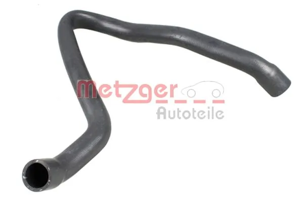 Radiator Hose 2420811