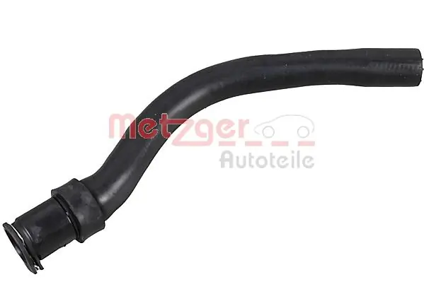Radiator Hose 2421229