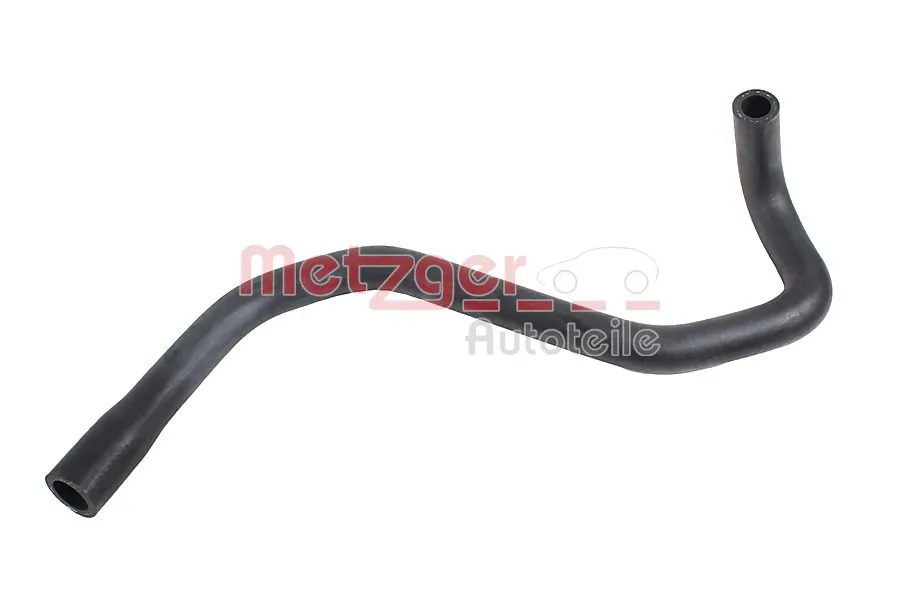 Radiator Hose 2421821