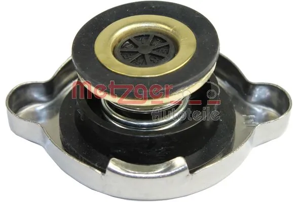 Cap, coolant tank 2140049