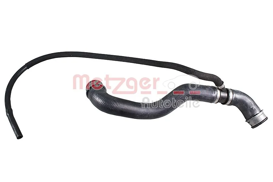 Radiator Hose 2421854