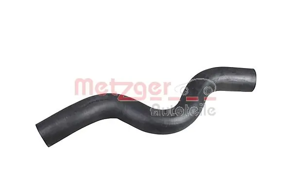 Radiator Hose 2421051