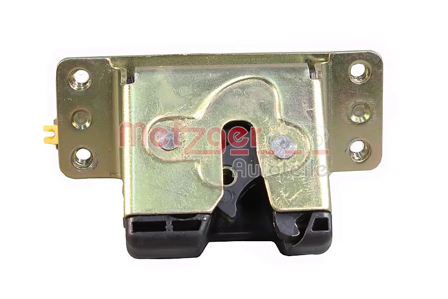 Tailgate Lock 2310719