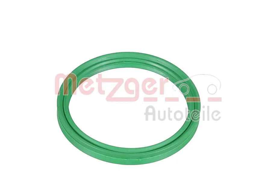 Seal Ring 2430154