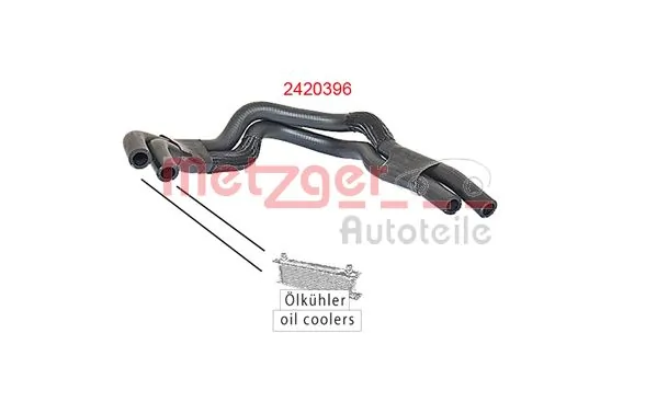 Radiator Hose 2420396