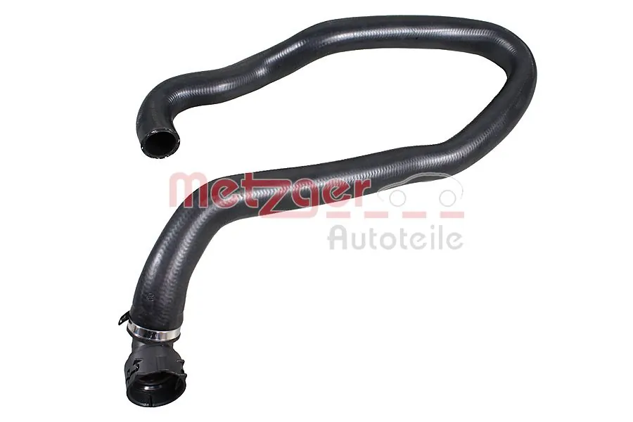 Radiator Hose 2421790