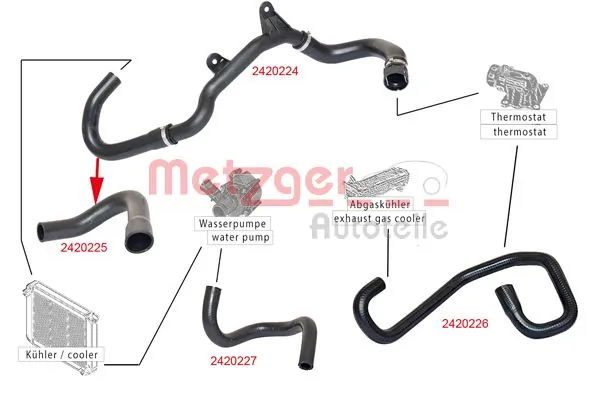 Radiator Hose 2420225