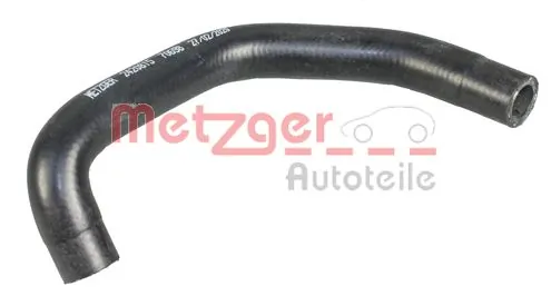 Radiator Hose 2420815