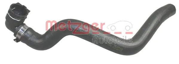 Radiator Hose 2420438