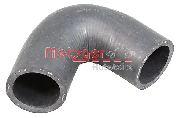 Radiator Hose 2421511