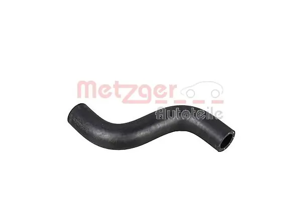 Radiator Hose 2420957