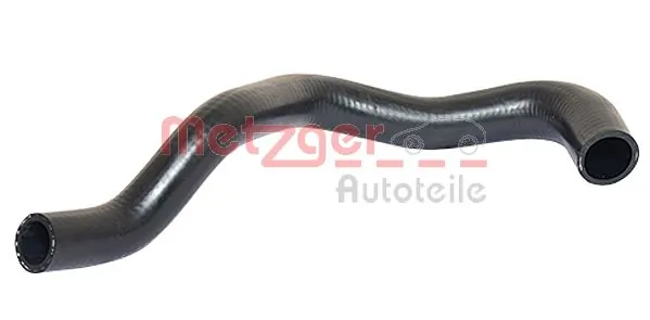 Radiator Hose 2420072