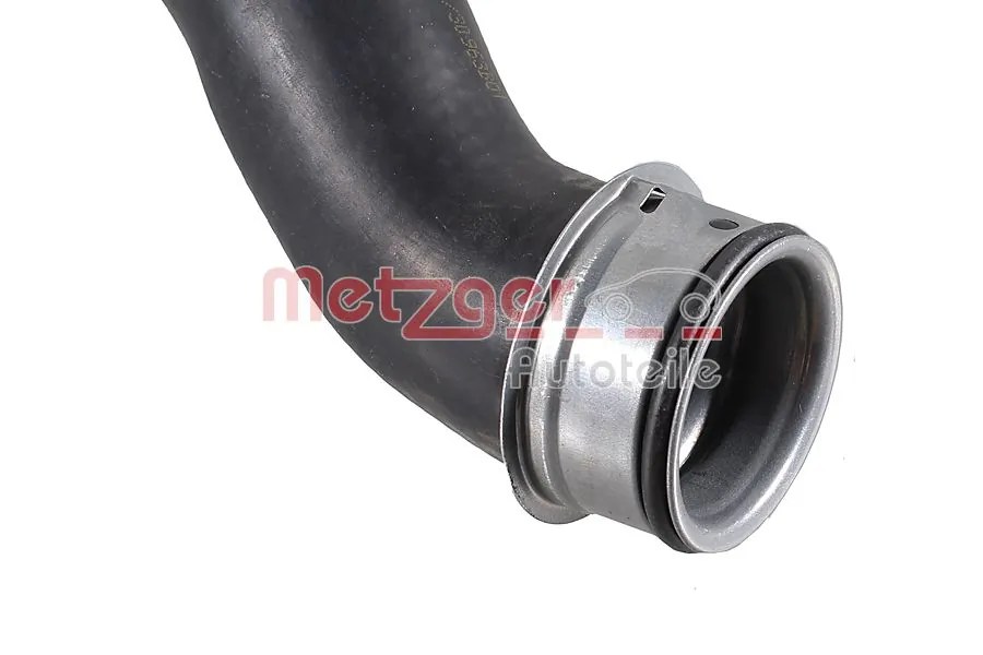 Radiator Hose 2421860