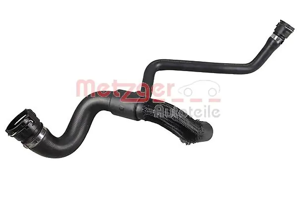 Radiator Hose 2421232