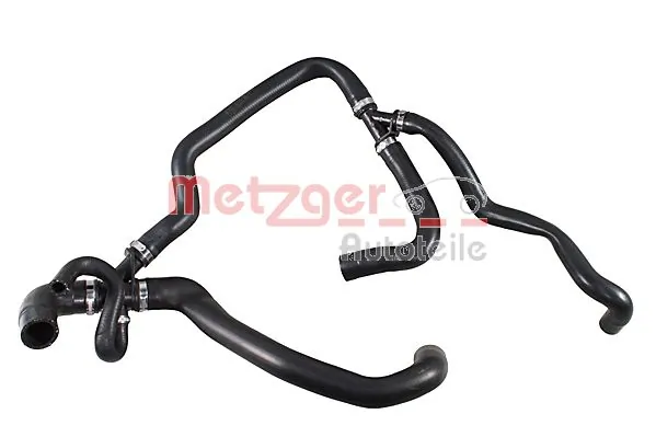 Radiator Hose 2421392