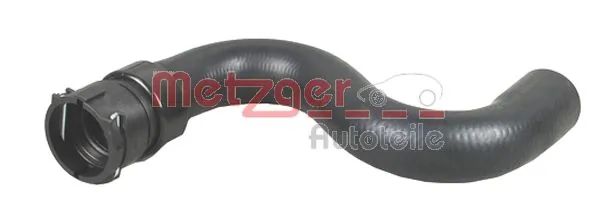 Radiator Hose 2420110