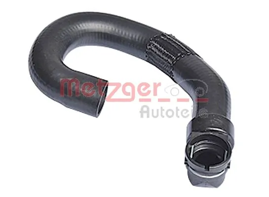 Radiator Hose 2420238