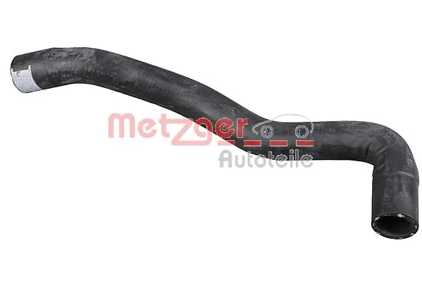 Radiator Hose 2421213