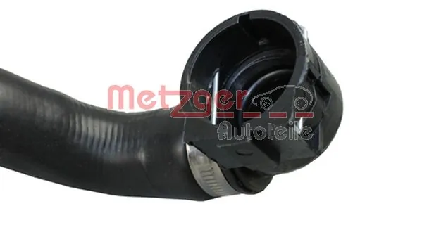 Radiator Hose 2420438