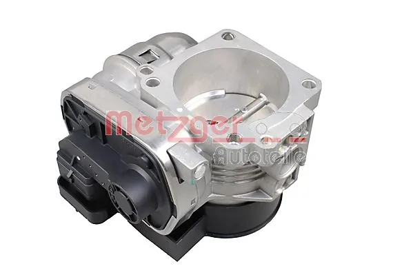 Cuerpo de mariposa 0892914