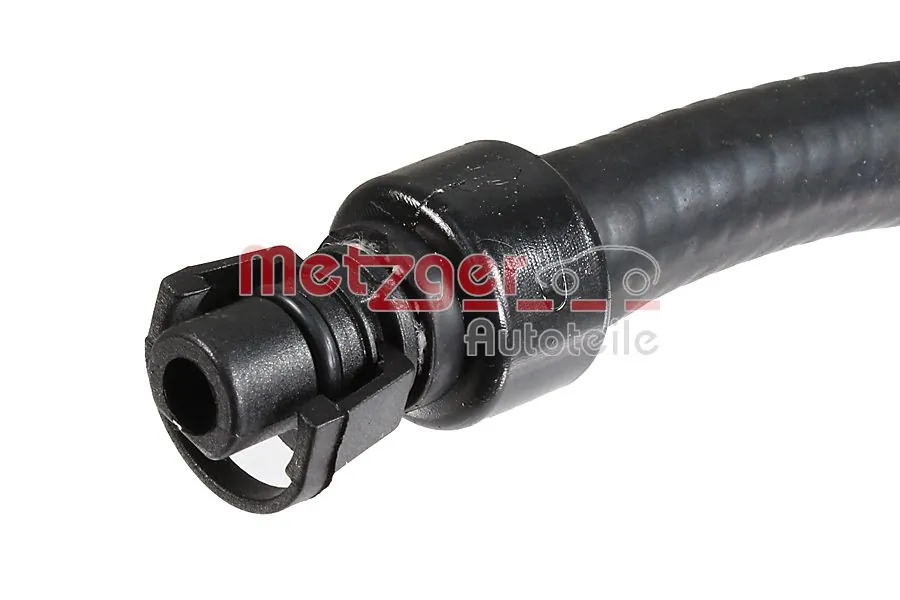Radiator Hose 2421603