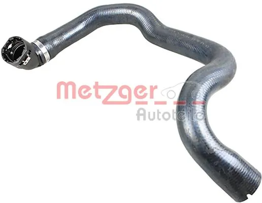 Radiator Hose 2420937