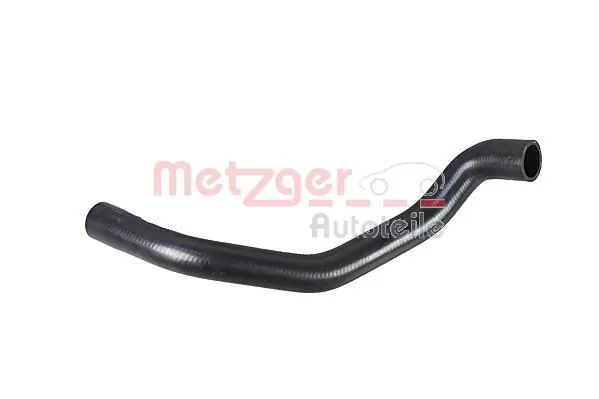 Radiator Hose 2420954