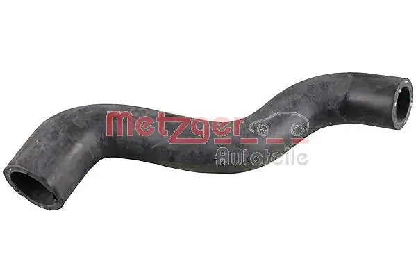 Radiator Hose 2421309