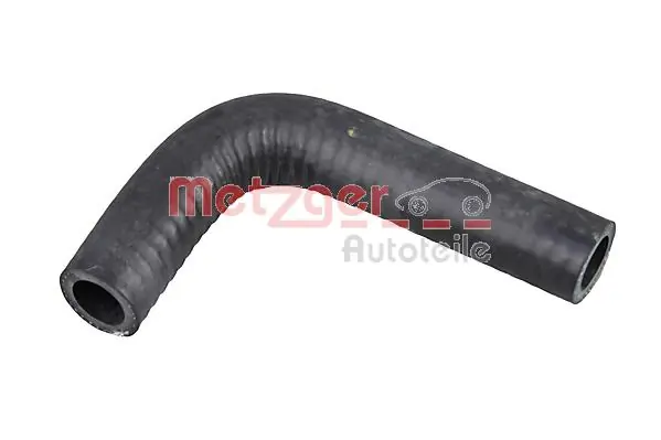Radiator Hose 2420229