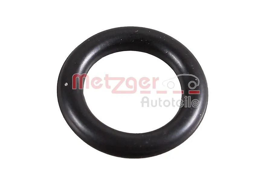 Seal Ring 2430061