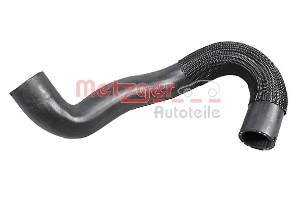 Radiator Hose 2421539