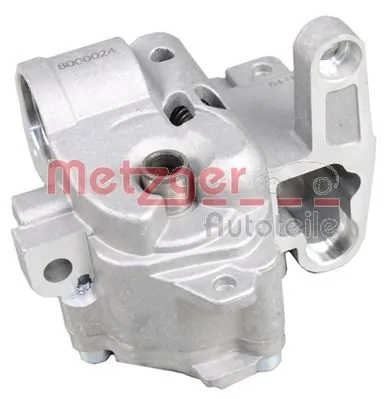 Oil Pump 8000024