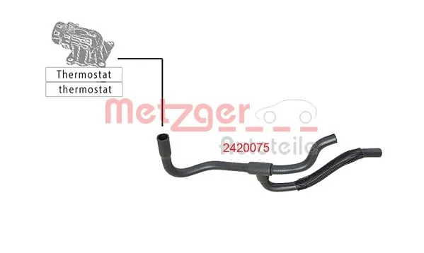 Radiator Hose 2420075