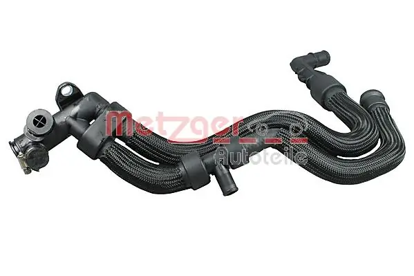 Radiator Hose 2420711