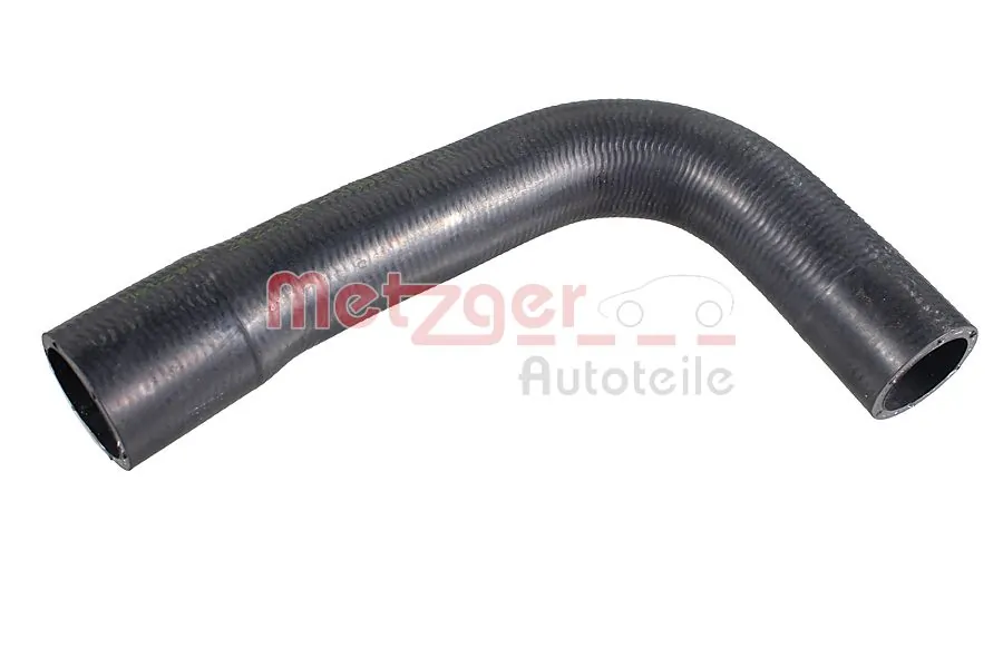 Radiator Hose 2422064